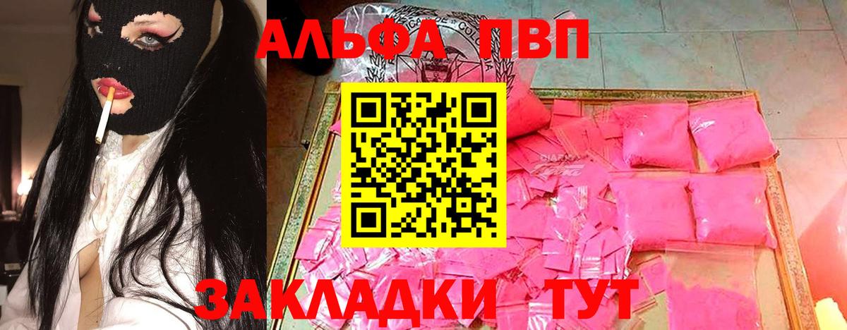 Alfa_PVP СК Грозный